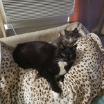 Donna Pedigo - @joeysugsam - Instagram