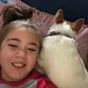 Donna Peetz - @donnapeetz - TikTok