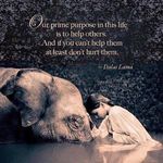 Donna Spence - @donnaspence37 - Instagram