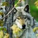 Donna Pendleton - Facebook