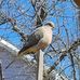 Donna Penton - Facebook