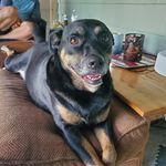 Donna Pepin-Dalessio - @ddalessio65 - Instagram