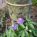 Donna Petrides - Facebook