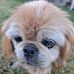 Donna Petrillo - Facebook