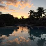 Donna Petro - @dpetro7542 - Instagram