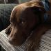 Donna Petrone - Facebook
