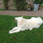 @donna_petronela - Instagram