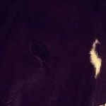 slutat - @pelle_tuti_donna_petronella - Instagram