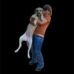 Donna Petry - @petry3467 - Instagram