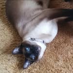 Donna Petrylak - @donnapetrylak - Instagram