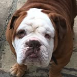 Donna Phelps - @donnaphelps96 - Instagram