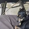 Donna Phelps - @donna.phelps19 - TikTok