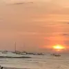 tiktokmy123 - @donna_phelps - TikTok