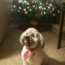 Donna Picarello - Facebook
