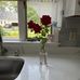 Donna Piccione - Facebook