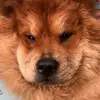 Donna Pickelsimer - @donna.pickelsimer - TikTok