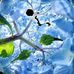 Donna Pilling - Facebook