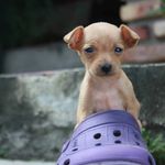 Donna pincher - @donnapincher - Instagram