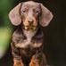 Donna Pinder - Facebook