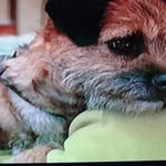 Donna Pingrey - @ddbug60 - Instagram