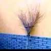 Donna Pinkham - @donnapinkham_3651 - TikTok