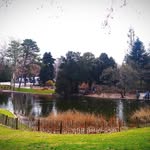 Donna Piper - @donn.apiper72 - Instagram