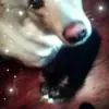 Donna Piper - @donna.piper4 - TikTok
