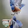 Donna Piper - @donna.piper5 - TikTok