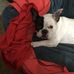 Donna Pirro - Facebook
