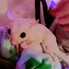 Donna - @donnas_place - TikTok