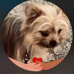 Donna Lou Place - @donna_lou_place - Instagram