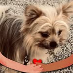 Donna Lou Place - @donna.place - Instagram