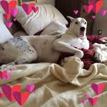 Donna Place - @donna.place.9 - Instagram