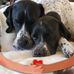 Donna Place - Facebook