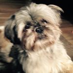 Donna Platt - @donna.tarrant.9 - Instagram
