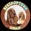 Hodowla Biszkoptowa Zgraja - @donata.plichta - TikTok