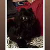donnaplough340 - @donnaplough340 - TikTok