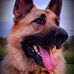 Donna Plourde - Facebook