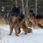 Donna Plourde - @plourde628519 - Instagram