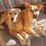 Donna Plourde Weckman - @dpwecky - Instagram