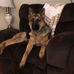 Donna Plum - Facebook