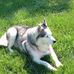 Donna Plummer - Facebook