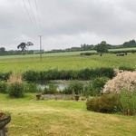 Donna Plummer - @ourforeverhome18621 - Instagram