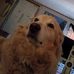 Donna Poland - Facebook