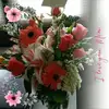 Donna Poland - @donnapoland - TikTok