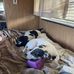Donna J Pawlowski - Facebook