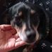 Donna Polhamus - Facebook