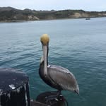 Donna Polizzi - @donnapolizzi - Instagram