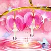 donnaelainepoling - @donnaelainepoling - TikTok