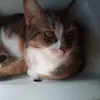 donnapoling - @donnapoling - TikTok